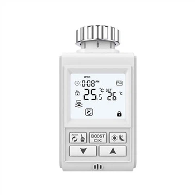 Verfügt ein Radiator Smart über eine Speicherfunktion?