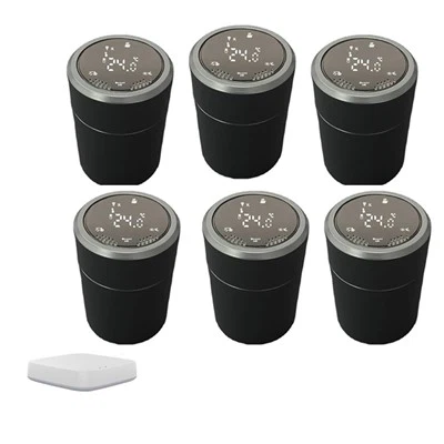 Schwarzes Thermostat-Heizkörperventil